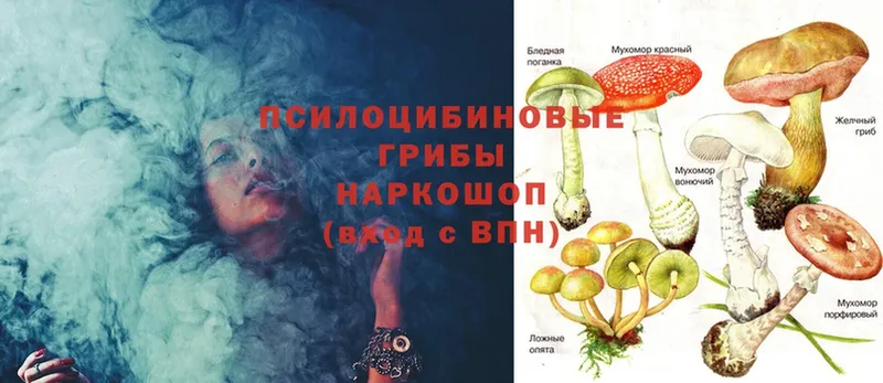 Псилоцибиновые грибы Cubensis  продажа наркотиков  Шарыпово 